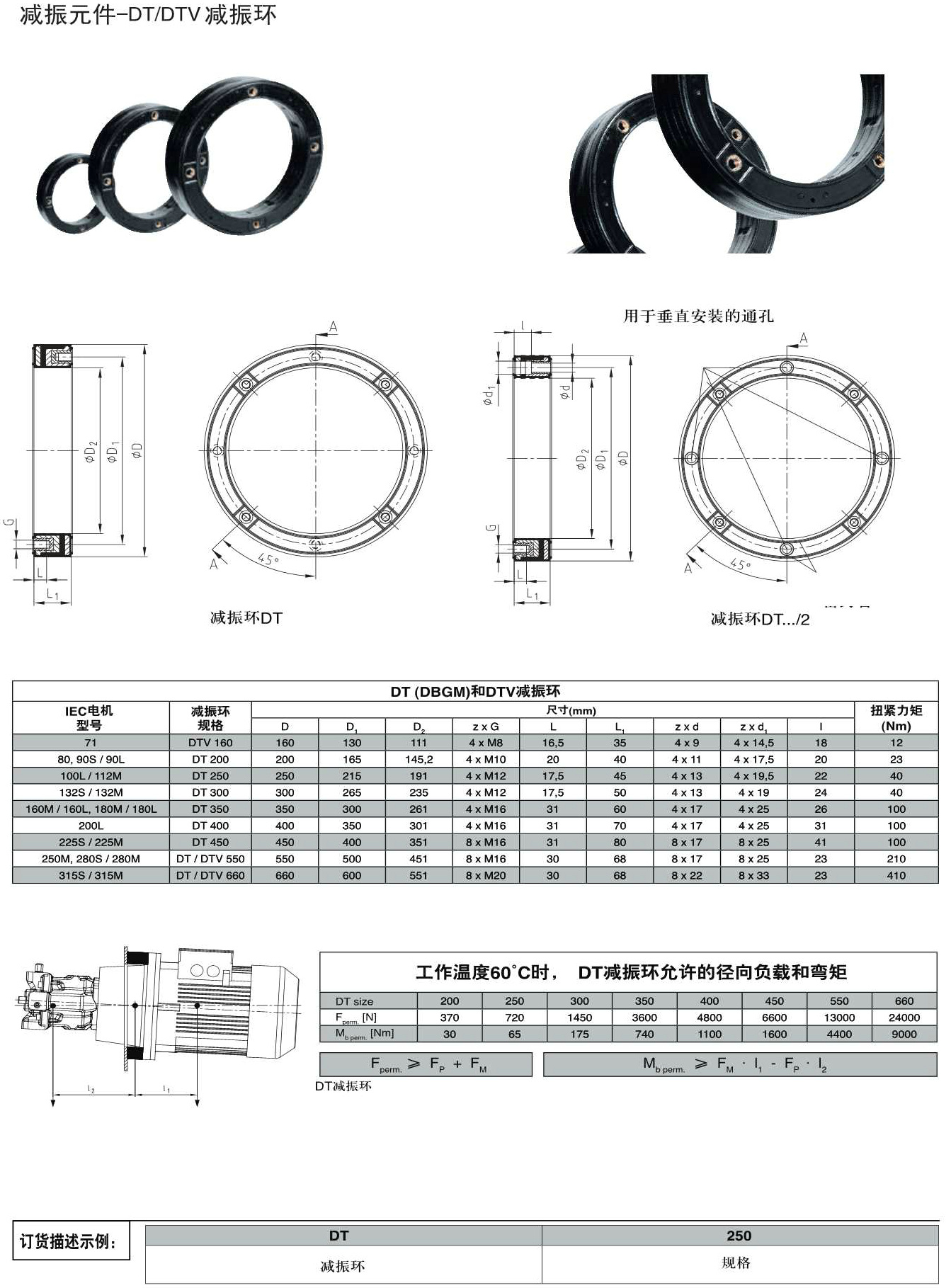 H09 DT DTV減振環.Jpeg